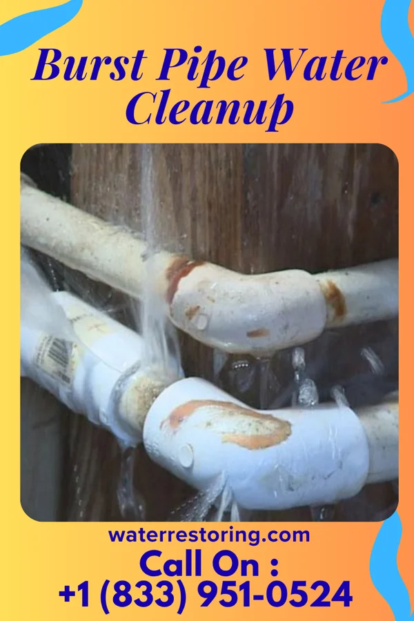 Burst Pipe Water Cleanup in Monroeville, OH