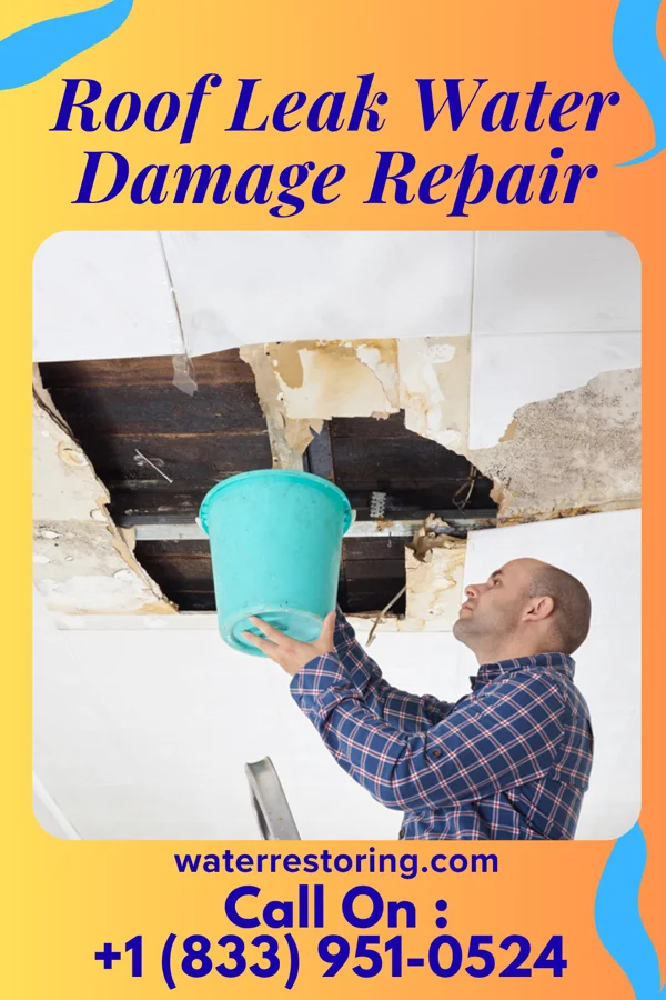 Roof Leak Water Damage Repair in Monroeville, OH