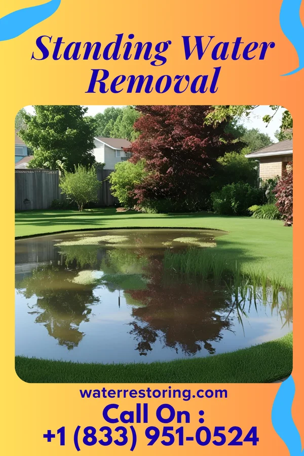 Standing Water Removal in Monroeville, OH